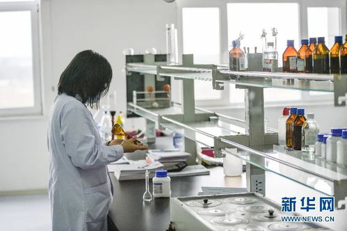 合汽生材 科技赋能饲料业，网络技术研发引领产业升级